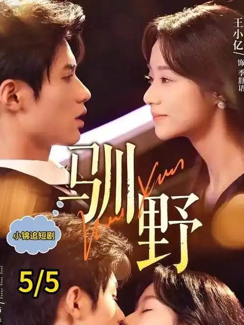 大明王朝1566电视剧封面